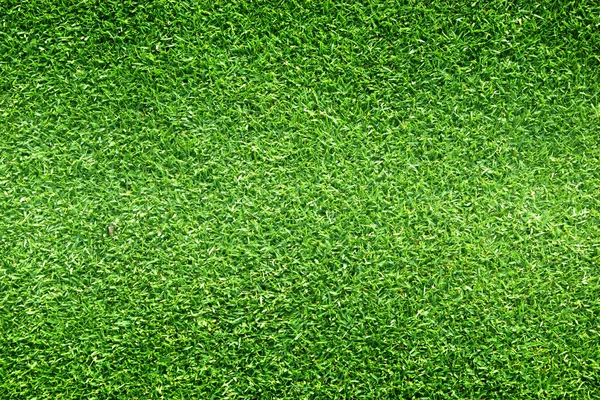 Lawn Background Green Grass Football Field Background Pattern — Stock Photo, Image
