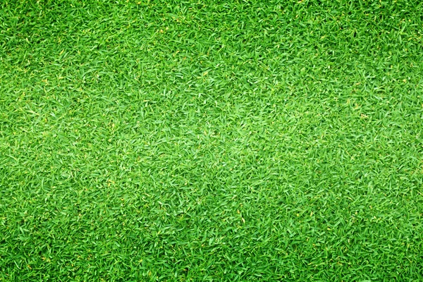 Trawnik Tło Zielonej Trawie Piłka Nożna Pole Tło Wzór — Zdjęcie stockowe