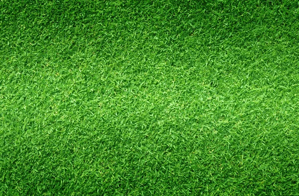 Lawn background Green grass football field Background pattern