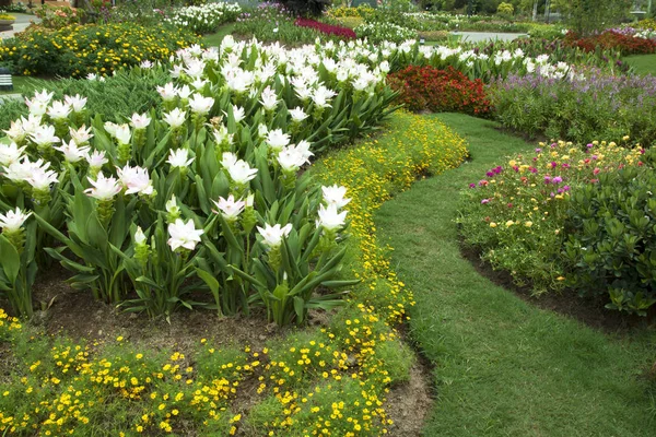 Jardim Flores Verde Natural Este Forma Fundo — Fotografia de Stock