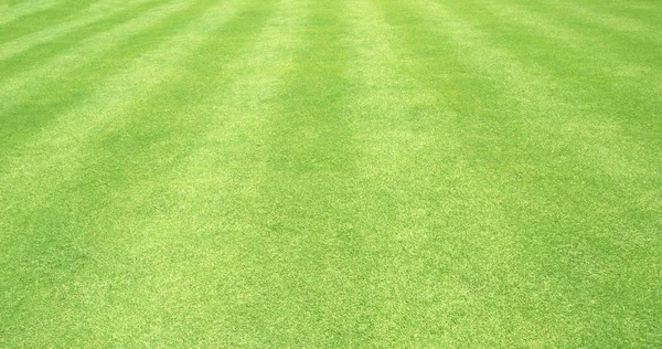 芝生の緑の草サッカー フィールド背景パターン背景 — ストック写真