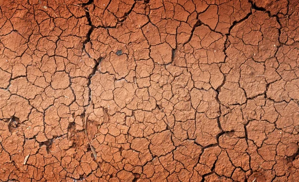 Sequía Grietas Suelo Sin Agua Caliente Falta Humedad — Foto de Stock