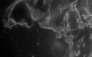 Yüksek çözünürlüklü siyah mermer desen arkaplan deseni.