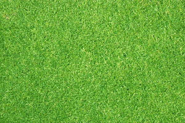 Зелёная Трава Заднем Плане — стоковое фото