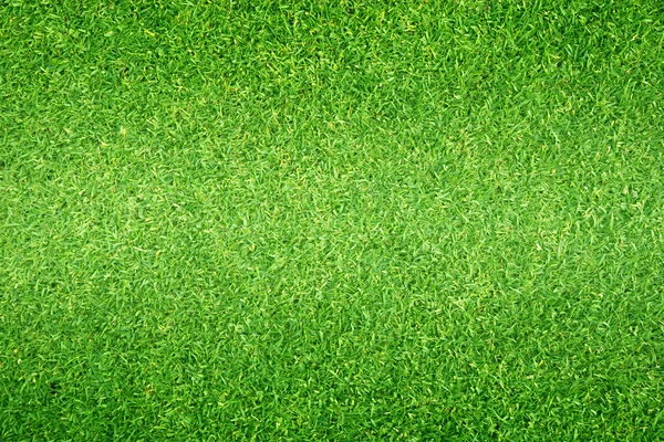 Natural Background Green Grass Small Grass Football Ground — Stock Photo, Image