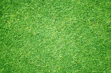Yeşil çim küçük çim futbol zemin doğal arka plan