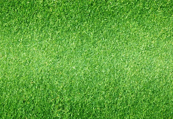 Yeşil çim küçük çim futbol zemin doğal arka plan