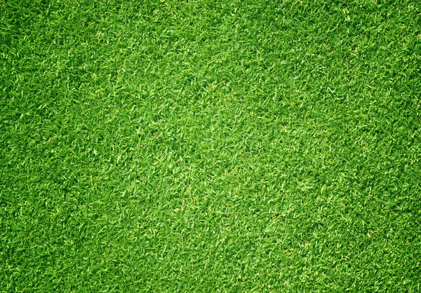 Fondo Natural Hierba Verde Pequeño Campo Fútbol Hierba —  Fotos de Stock