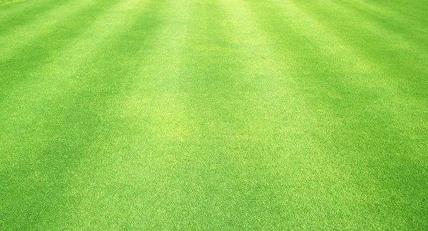 Natuurlijke Achtergrond Van Groen Gras Kleine Gras Voetbalveld — Stockfoto