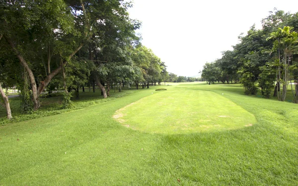 Hierba Fondo Campos Golf Verde Patrón Césped Texturizado Fondo — Foto de Stock