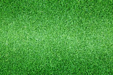 çimen arkaplan Golf sahaları yeşil çimen desenli arka plan.