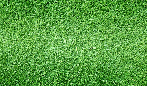 Grasgrün Feld Fußball Schöne Natürliche Hintergrund Muster — Stockfoto