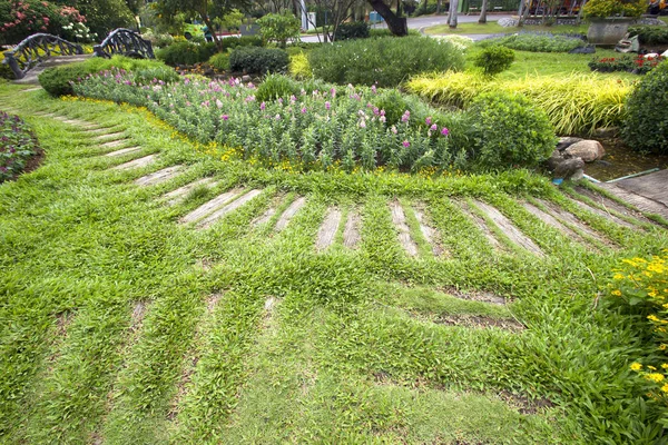 Giardini Pubblici Ornamentali Cespugli Verde Fiori — Foto Stock