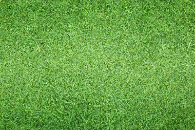 yeşil çim doku çim dokulu arka plan desen.