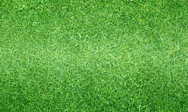 yeşil çim doku çim dokulu arka plan desen.