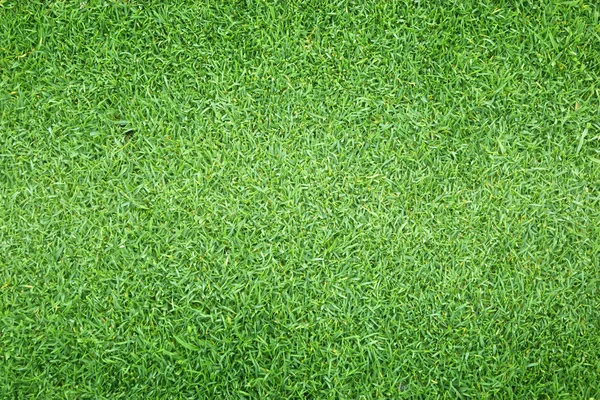 Groen Gras Textuur Gazon Patroon Gestructureerde Achtergrond — Stockfoto