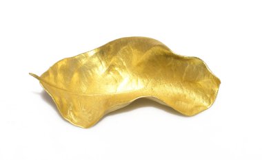 Beyaz arka plan üzerinde izole bir altın yaprak.