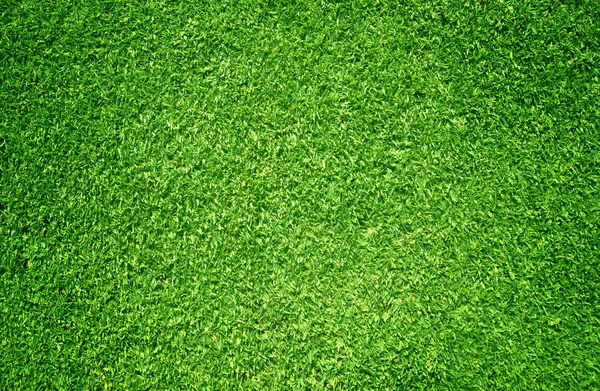 Textur Von Grünem Gras Textur Von Grünem Rasen — Stockfoto