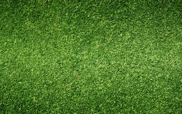 Green Grass Texture Green Lawn Blackground Texture — Stock Photo, Image