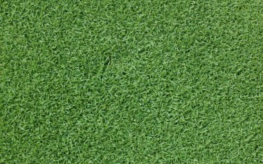 çimen arkaplan Golf sahaları yeşil çimen desenli arka plan.