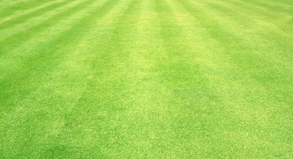 草の背景ゴルフコース緑の芝生のパターンテクスチャの背景 — ストック写真