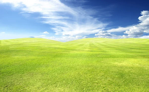 草地背景高尔夫球场绿草图案纹理背景 — 图库照片