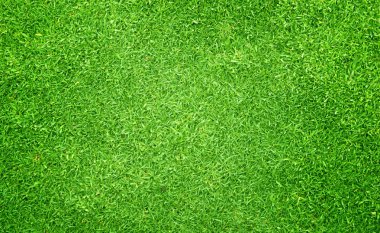 Yeşil Çimen Arkaplanı