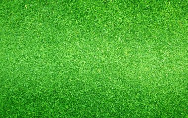 Yeşil Çimen Arkaplanı 