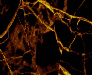 Altın mermer desen arkaplanı