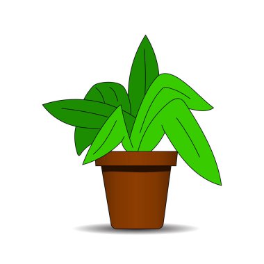 Karikatür Çiçekleri vazoya tasarımınız için kartı. Beyaz arka plan üzerinde izole vektör çizim. El çizimi