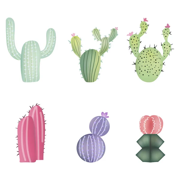 Különböző Színes Reális Kaktuszok Sor Vektoros Illusztráció Elszigetelt Fehér Background — Stock Vector