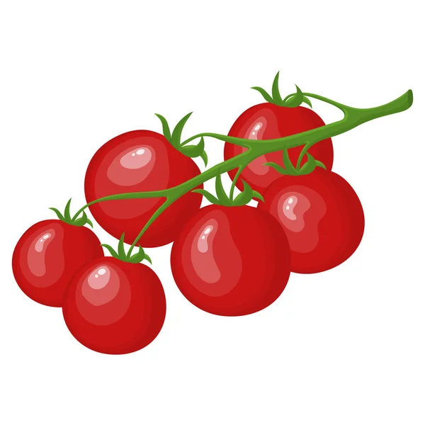 Beyaz arka planda izole şube ham olgun domates. Taze kırmızı kiraz domates sebze. Market için etiket. Organik gıda. Karikatür düz stil. Tasarım, Web için vektör Illustration.