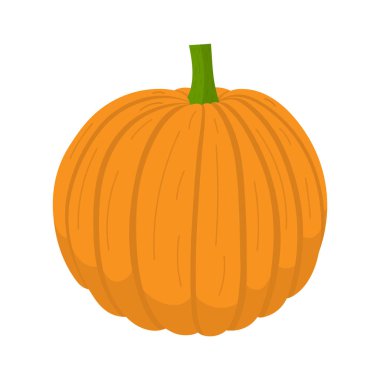 Taze portakal kabak sebze beyaz arka plan izole. Pazar için kabak simgesi, tarifi tasarım. Organik gıda. Çizgi film tarzı. Tasarım için temiz ve modern vektör çizimi.