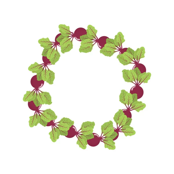 Rübenkranz. frisches Gemüse. Bio-Lebensmittel. Vektor-Illustration auf weißem Hintergrund. — Stockvektor