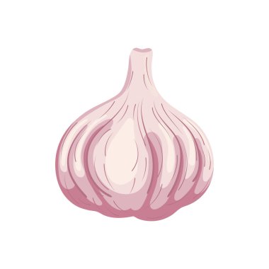 Sarımsak beyaz arka plan üzerinde izole. Organik gıda. Çizgi film tarzı. Tasarım için vektör çizimi.