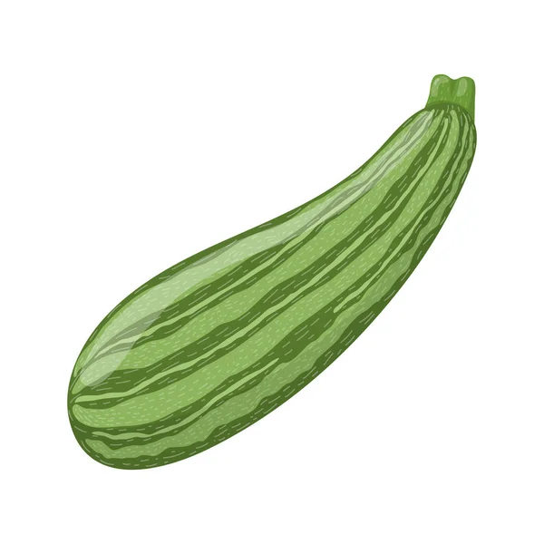 Zucchine fresche isolate su fondo bianco. Cibo biologico. Stile cartone animato. Illustrazione vettoriale per il design . — Vettoriale Stock