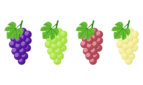 Conjunto de diferentes uvas isoladas sobre fundo branco. Um bando de uvas roxas, verdes, vermelhas e brancas com caule e folha. Estilo dos desenhos animados. Ilustração vetorial para qualquer projeto . — Vetor de Stock