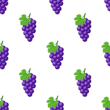 Beyaz arka plan üzerinde mor üzüm ile Dikişsiz desen. Saplı ve yapraklı bir demet mor üzüm. Çizgi film tarzı. Tasarım, web, ambalaj kağıdı, kumaş, duvar kağıdı için vektör illüstrasyon.