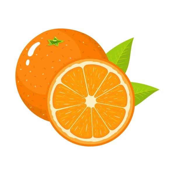 Conjunto de fruta fresca entera y media naranja con hojas aisladas sobre fondo blanco. Mandarina. Fruta orgánica. Estilo de dibujos animados. Ilustración vectorial para cualquier diseño . — Vector de stock