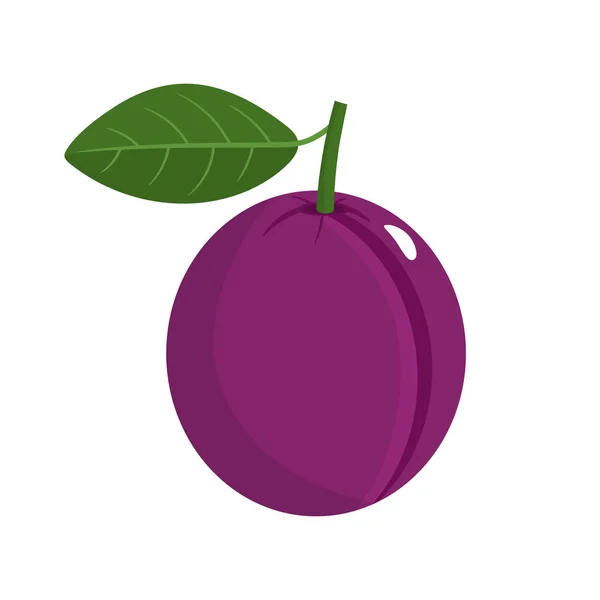 Pruim met Steel en blad geïsoleerd op witte achtergrond. Biologisch fruit. Cartoon stijl. Vector illustratie voor elk ontwerp. — Stockvector