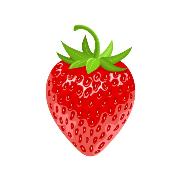 Fresa fresca 3d roja madura aislada sobre fondo blanco. Comida dulce realista. Fruta orgánica. Estilo de dibujos animados. Ilustración vectorial para cualquier diseño . — Vector de stock