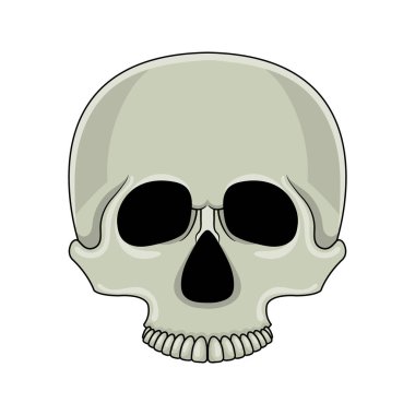 Kafatası beyaz arka plan üzerinde izole edilmiş. Karikatür insan kafatası. Herhangi bir tasarım için vektör çizimi.