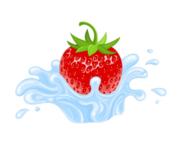 Fresa roja fresca y realista con salpicadura de agua aislada sobre fondo blanco. Comida dulce. Fruta orgánica. Ilustración vectorial para cualquier diseño . — Vector de stock