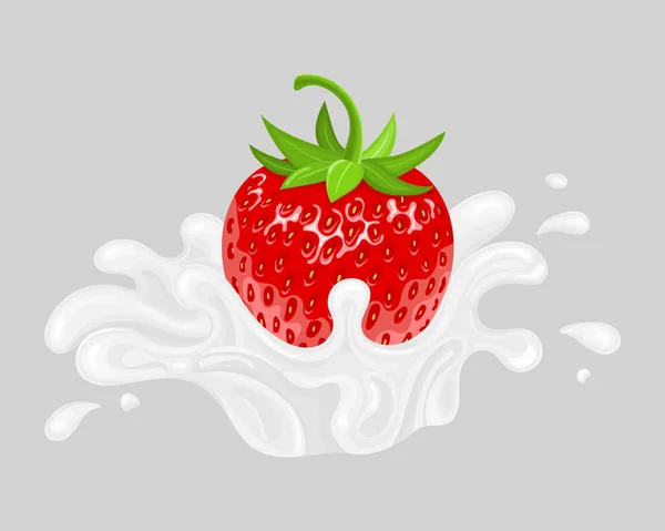 Morango realista fresco vermelho com respingo de leite isolado em fundo cinza. Comida doce. Fruta orgânica. Ilustração vetorial para qualquer projeto . — Vetor de Stock