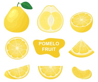 Taze, yarım dilimlenmiş, beyaz arka planda izole edilmiş sarı aromalı meyveler. Sağlıklı yaşam için yaz meyveleri. Organik meyve. Çizgi film tarzı. Herhangi bir tasarım için vektör illüstrasyonu.