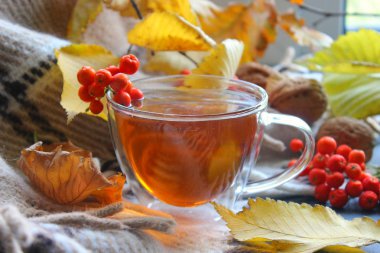 Natürmort, sonbahar sabah bir bardak çay ile. Sarı tarafından çevrili ekose bir arka plan üzerinde çay yaprakları, kırmızı kartopu çilek. Samimi sıcaklık, aile sıcaklığını, hafta sonu, sakin ol.
