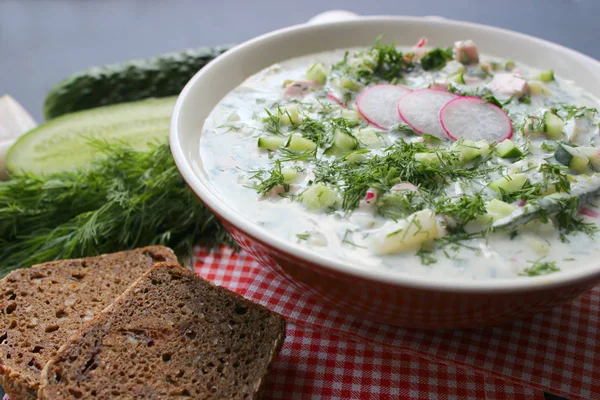 Okroshka Est Une Soupe Froide Traditionnelle Russe Été Dans Bol — Photo