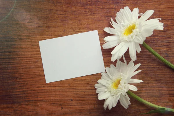 Fleurs Fraîches Camomille Été Une Étiquette Vide Sur Des Planches — Photo