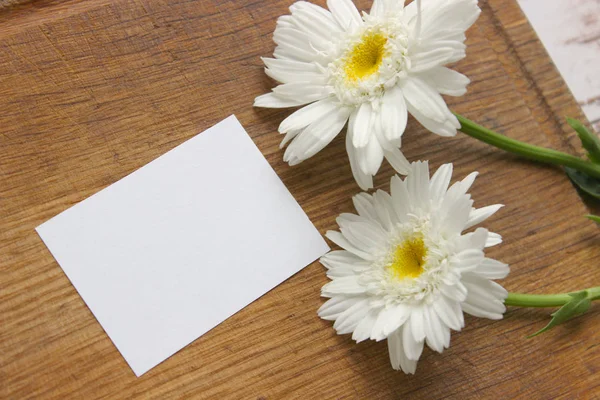 Fleurs Fraîches Camomille Été Une Étiquette Vide Sur Des Planches — Photo