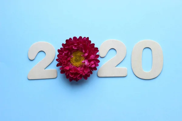 2020 Creatividad Nuevo Concepto Para Año 2020 Figuras Madera Flores —  Fotos de Stock